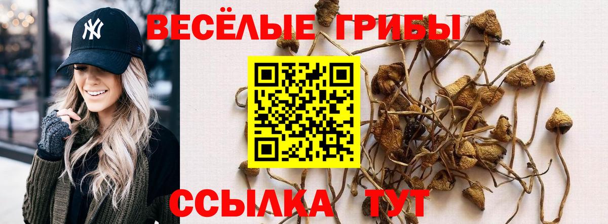 Нижнеудинск  Псилоцибиновые грибы Psilocybe  как найти наркотики  Вход с VPN 